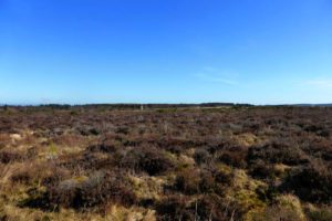 Culloden Moor taken in 2015