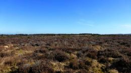 Photo of Culloden with blue sky