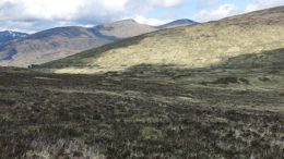 View of moorland in Scotland