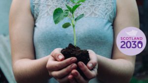 Woman holding small plant