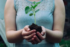 Photo of woman holding small plant