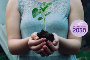 Picture of woman holding a small plant