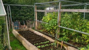 Iain MacDiarmaid allotment