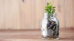 Jar filled with coins and plant on top