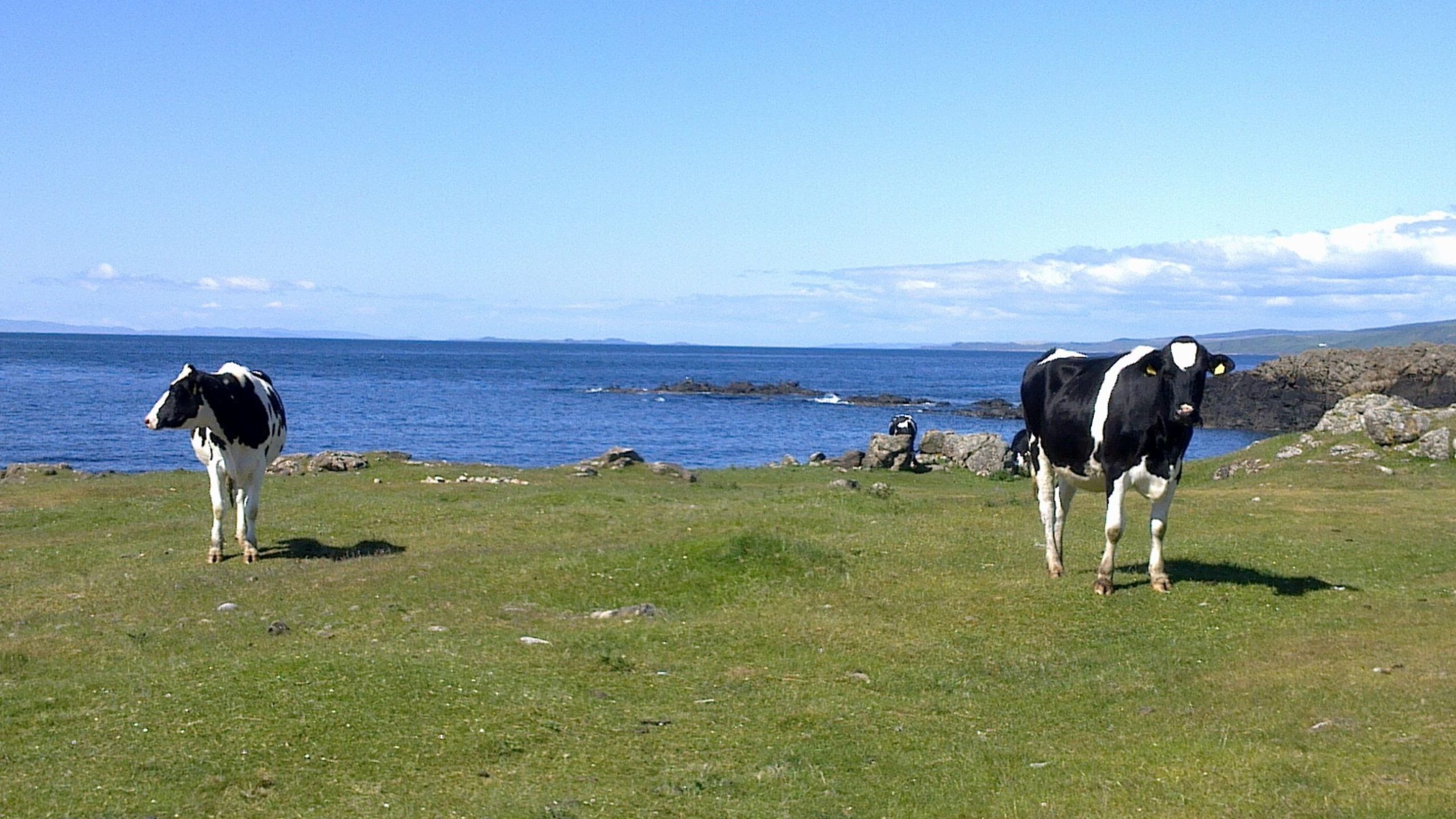 Scotland’s Land: One resource, many uses