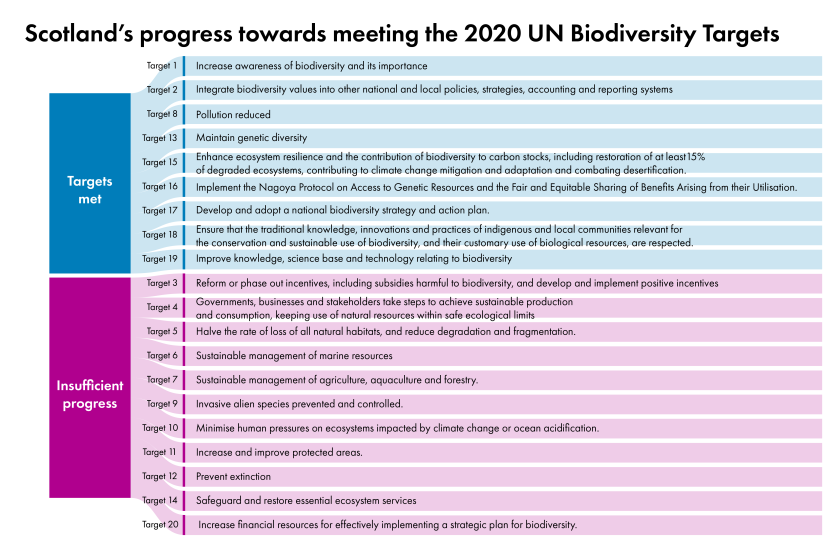 Chart titled "Scotland's progress towards meeting the 2020 UN Biodiversity Targets showing a list of biodiversity targets met such as "Increase awareness of biodiversity and its importance"  alongside a larger list of targets with which insufficient progress has been made such as "Reform or phase out incentives, including subsidies harmful to biodiversity and develop and implement positive incentives"